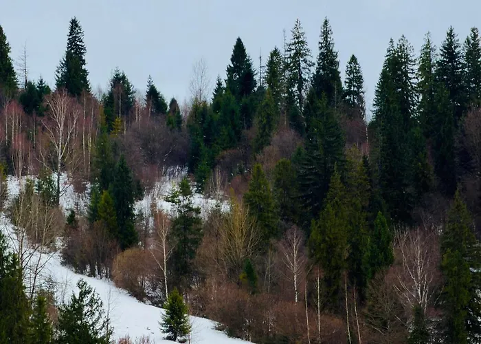 Family Rest Village славськ *