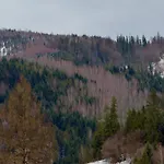 Family Rest Village славськ Villa