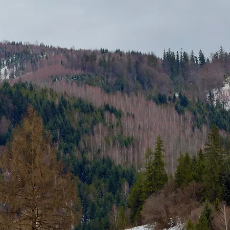 Family Rest Village славськ וילה